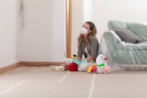 Trusted Mold Inspection service in Bennett, NC - Cheap Mold Removal