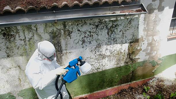 Trusted Mold Testing service in Bennett, NC - Cheap Mold Removal